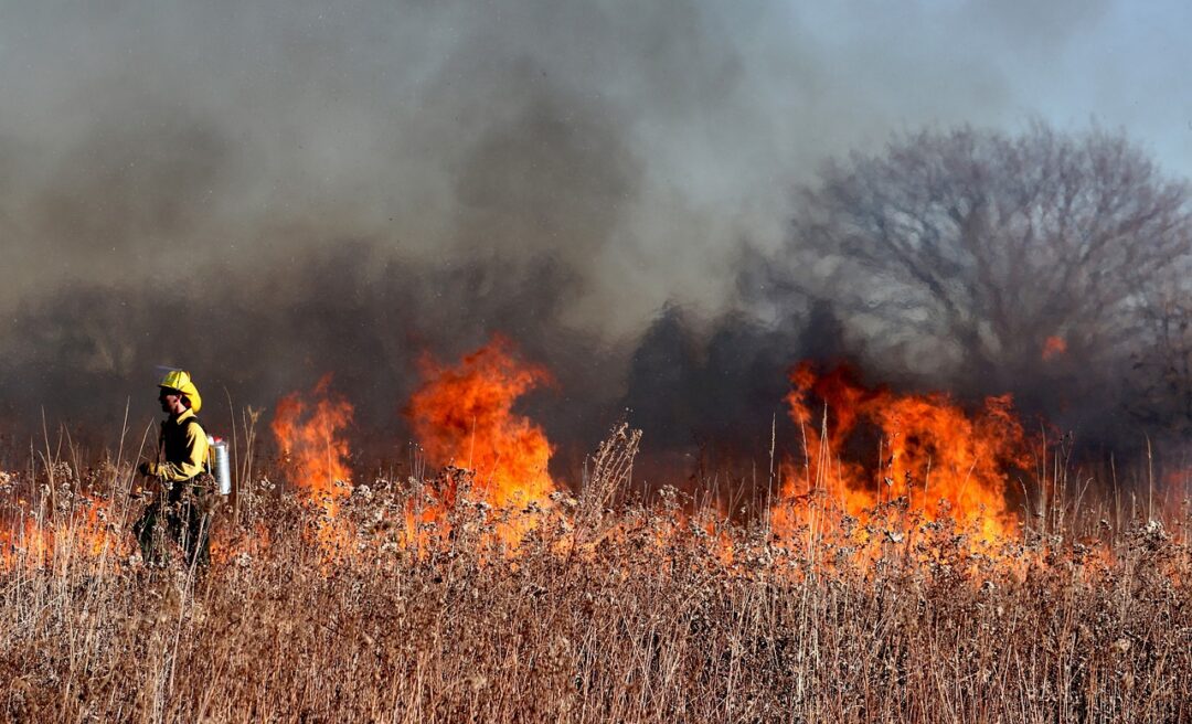 Firefighter fights wildfire, brush fire.