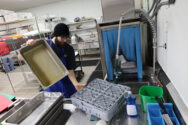 Kitchen staff loading large trays into an industrial dishwasher.