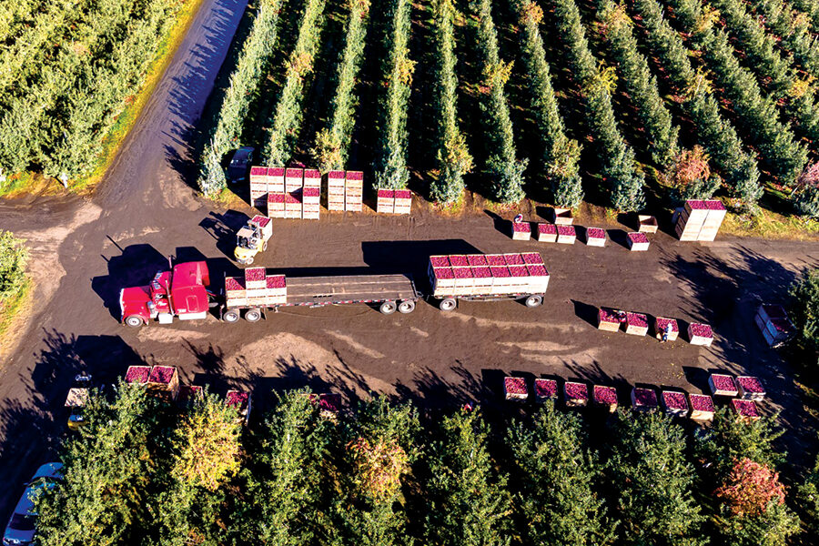 Apple truck drone.jpg