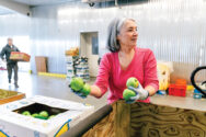 Debbie Maier sorts Washington-grown apples at Second Harvest's Pasco warehouse. Volunteers, farmers and processors who donate their time and product are the lifeblood of Second Harvest.