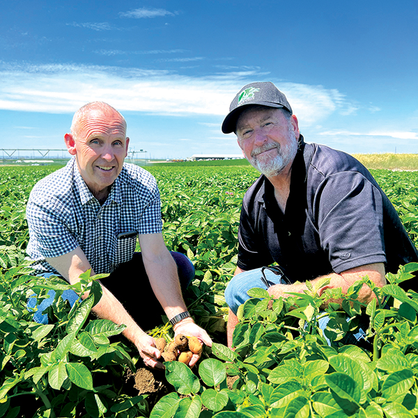 Kyle Barclay, left, of AgriNorthwest, a longtime food donor, and Mike Thomsen, who sources food for Second Harvest, check out the crop in a field.