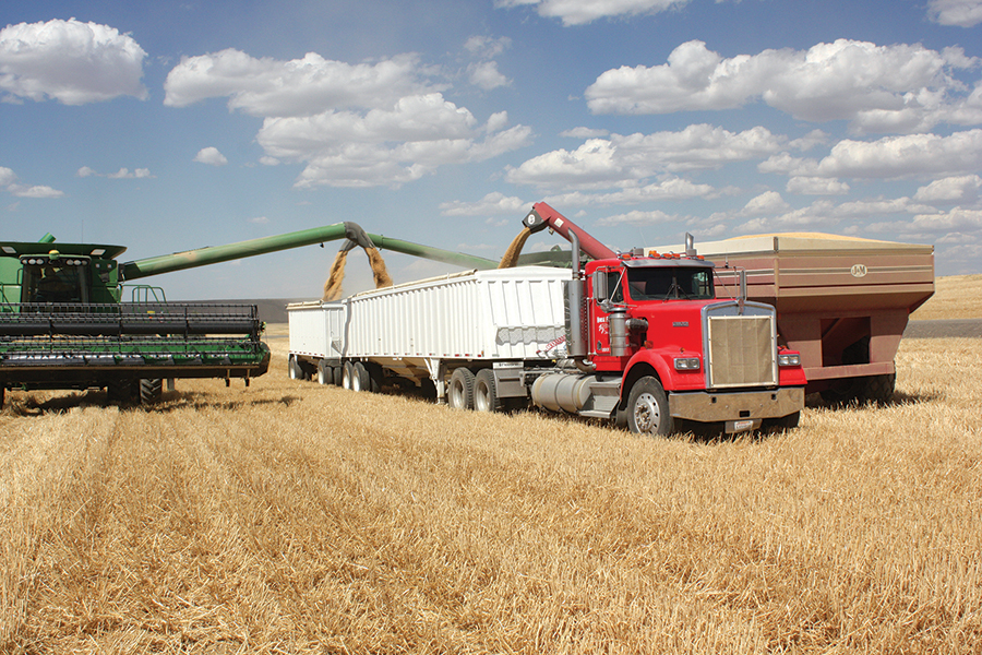 Wheat_Harvest_Douglas_Co.jpg